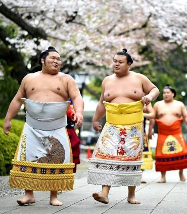 Ужин с борцом сумо