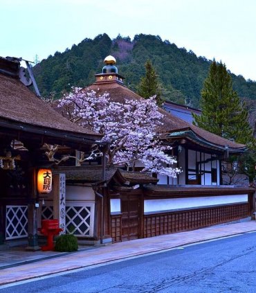 Священна гора Коясан