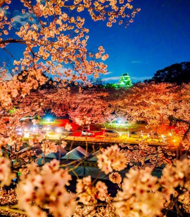 Замок Ворона в Окаяма