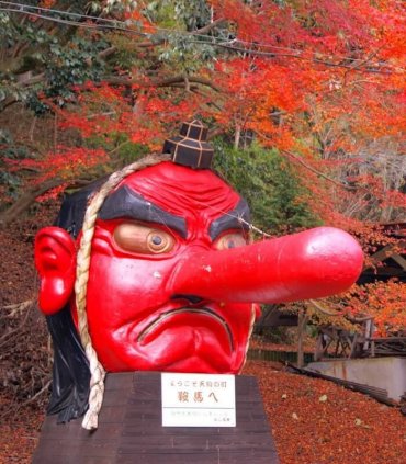 Тенгу, Курама