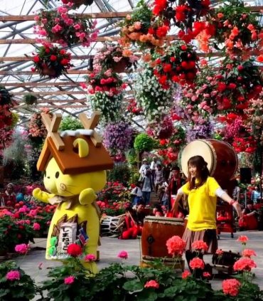 Самурайський Мацуе, парк квітів і птахів