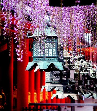 Касуга Тайся Нара