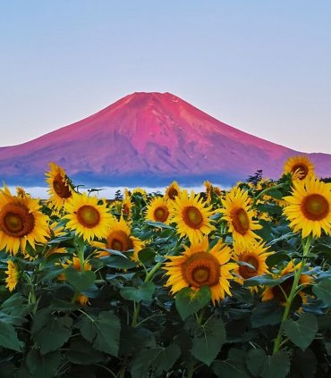 Сходження на Фудзіяму