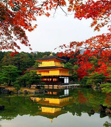 Золотий павільон, Кіото