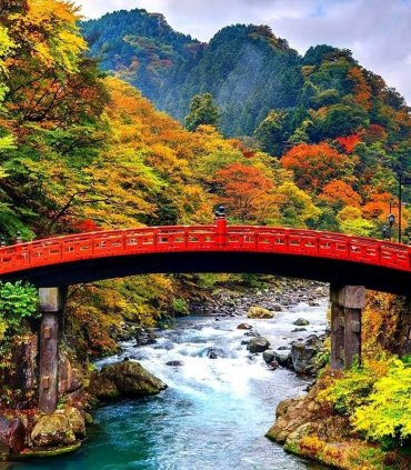 Прекрасний Нікко