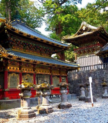 Прекрасний Нікко