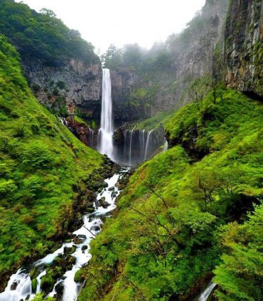 Прекрасний Нікко