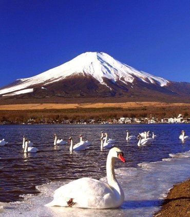 Зимові легенди Японії