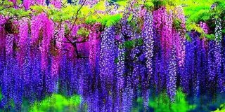 Травневі свята