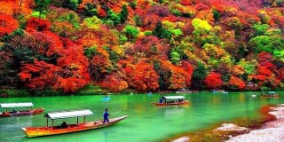 Осінь та клени