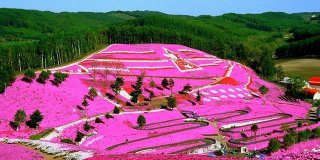 Екскурсії Хоккайдо